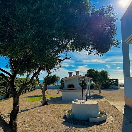 Edo House Anzio - Beachfront - Fronte Mare - Affittacamere 外观 照片