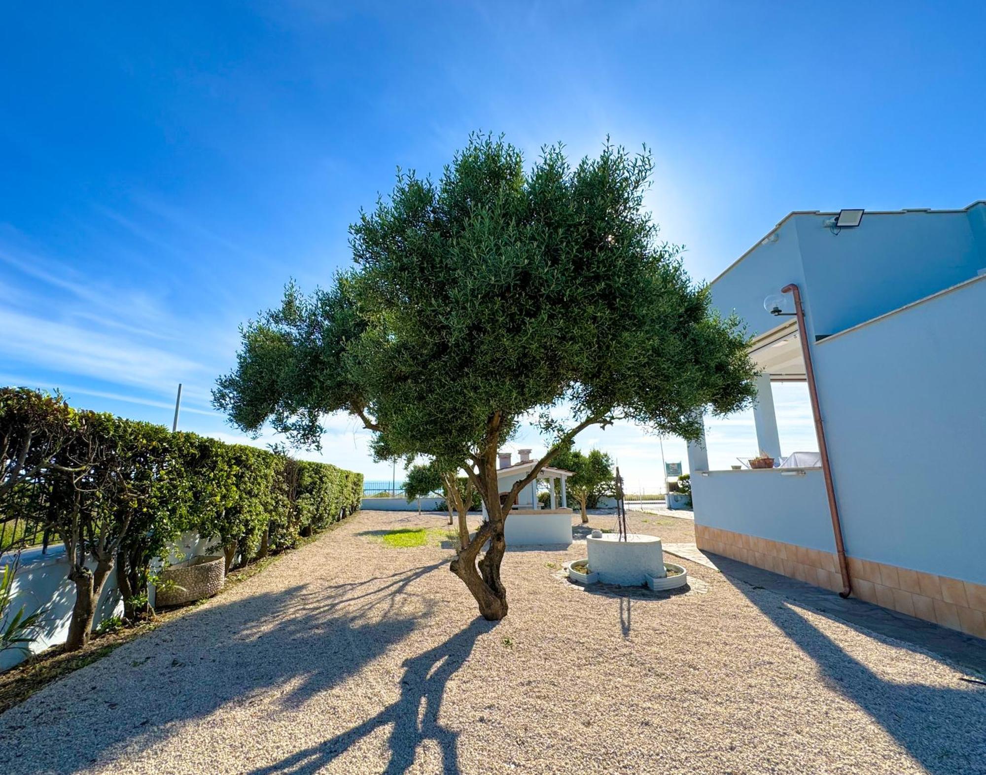 Edo House Anzio - Beachfront - Fronte Mare - Affittacamere 外观 照片